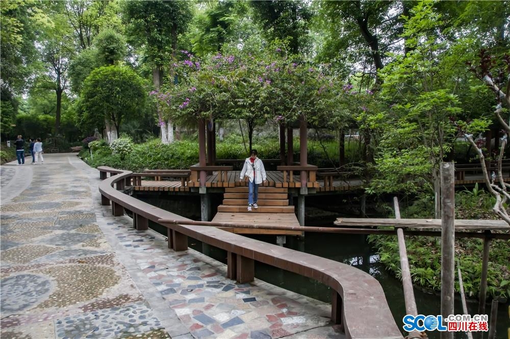 神木园千年神木简介图片