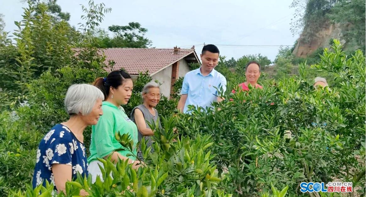 寿县板桥人口_寿县板桥中学(2)